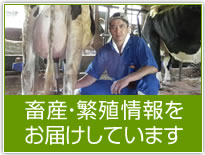 畜産・繁殖情報をお届けしています