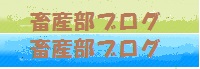 獣医師専務のブログ